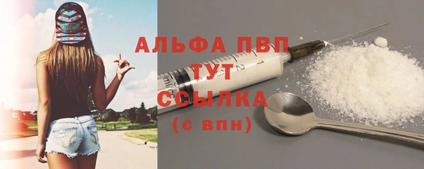 гидра Богородск