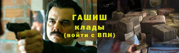гидра Богородск