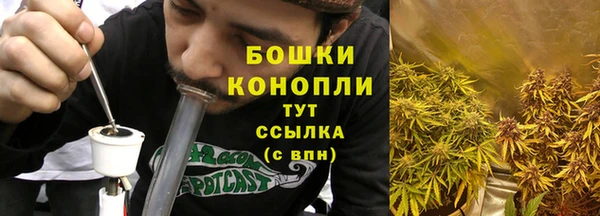 спиды Богданович