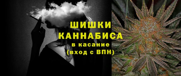 спиды Богданович