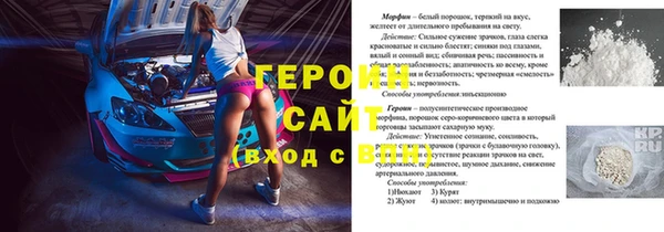 гидра Богородск
