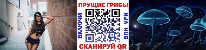 магазин  наркотиков  Моршанск  Псилоцибиновые грибы GOLDEN TEACHER 